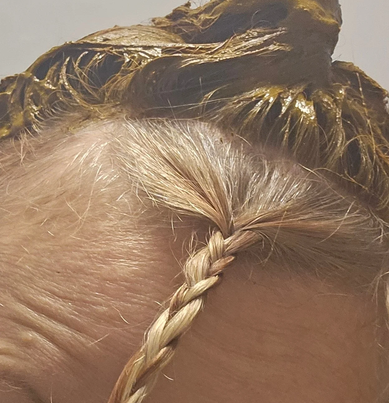 Hair photographed for the existing Courier Cuts henna service